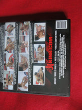Load image into Gallery viewer, Vintage Adult Erotic Sexy Porn XXX DVD Movie Kink.Com Ultimate Surrender Wrecked Rookies  BT3

