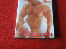 Load image into Gallery viewer, Vintage Adult Gay Porn DVD XXX Movie Falcon Best Men The Wedding Party      10
