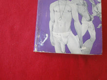 Load image into Gallery viewer, Vintage Adult Paperback Novel/Book Gay Interest Whipping A Hang Up ROUGH  PB1
