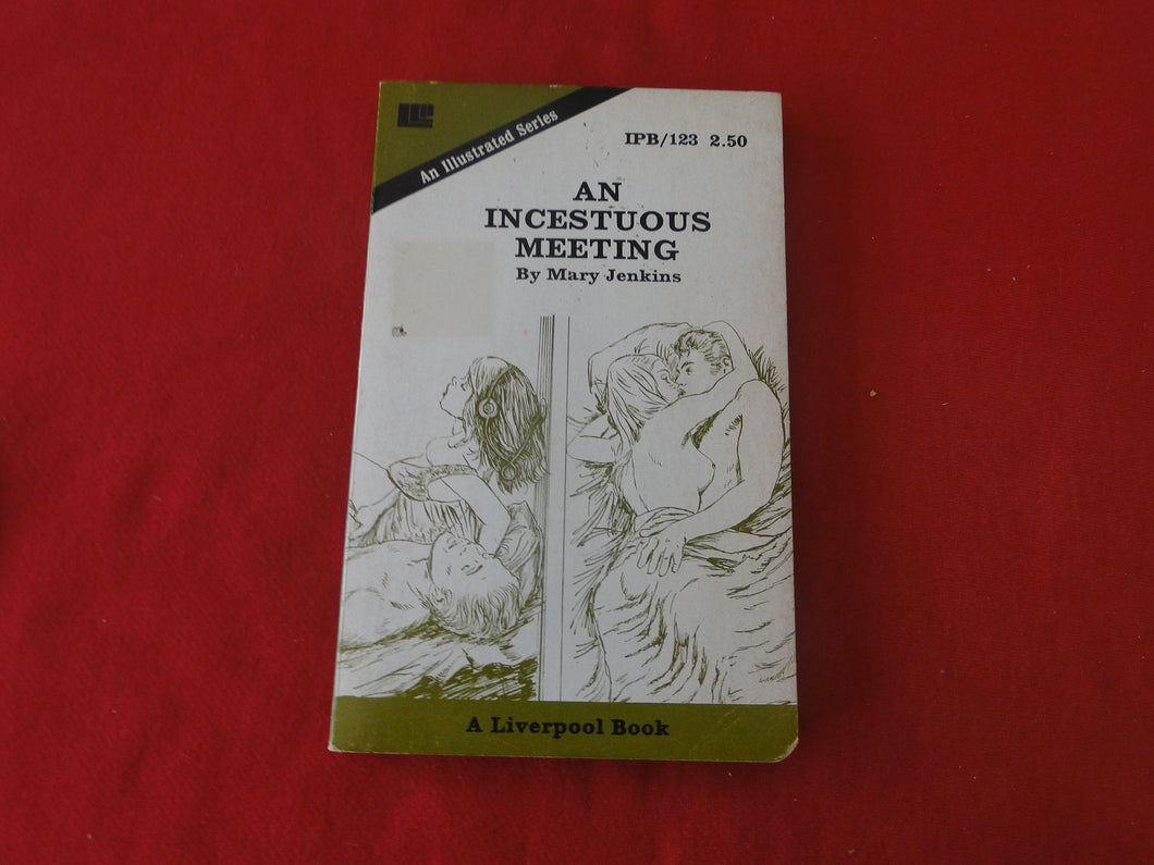Vintage Erotic Adult Paperback Book/Novel An Incestuous Meeting LIverpool     PB1