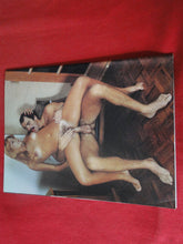 Load image into Gallery viewer, Vintage Nude Erotic Sexy Adult Magazine Shaft 1982       JB19

