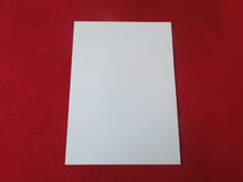 Load image into Gallery viewer, Vintage Gay Interest Nude Hot Hung Male Photo 5 x 7    H41al
