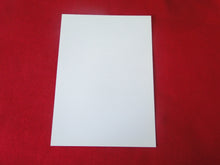 Load image into Gallery viewer, Vintage Gay Interest Nude Hot Hung Male Photo 5 x 7    H41ar
