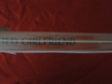 Load image into Gallery viewer, Vintage Adult Paperback Book/Novel The Ravished Girlfriend         G2
