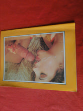 Load image into Gallery viewer, Vintage Nude Erotic Sexy Adult Magazine Pleasure Hole No. 2 All Color     JB58
