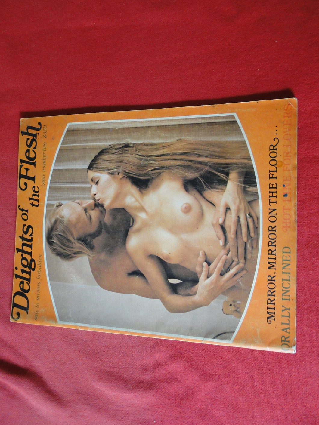 Vintage Nude Erotic Sexy Adult Magazine Delights of the Flesh 1972 Hairy Bush NOT PERFECT  8