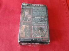 Load image into Gallery viewer, Vintage Adult XXX VHS Porn Tape X-Rated The Enchantress Heather Wayne       X4
