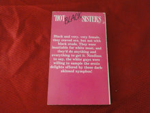 Load image into Gallery viewer, Vintage Adult Paperback Book/Novel Hot Black Sisters 1985          G2
