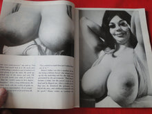Load image into Gallery viewer, Vintage Nude Erotic Sexy Adult Magazine The Swinger June 1972     JB5
