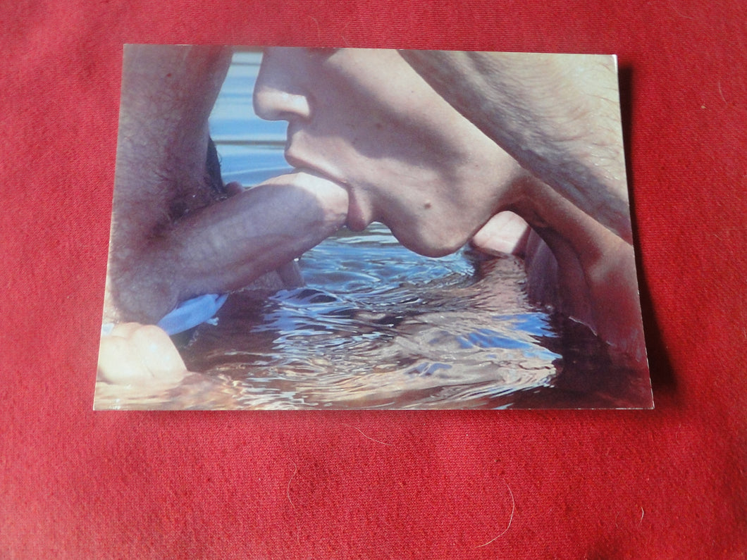 Vintage Gay Interest Nude Hot Hung Male Photo 5 x 7 Sucking Cock       H40