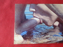 Load image into Gallery viewer, Vintage Gay Interest Nude Hot Hung Male Photo 5 x 7 Sucking Cock       H40
