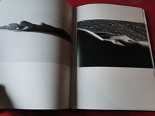 Load image into Gallery viewer, Vintage Hardcover Erotic Nude Women Picture Book Ak(t)zente Accents Matthias Stolt
