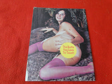 Load image into Gallery viewer, Vintage Nude Erotic Sexy Adult Magazine Loving Ends 1976 Parliament CLIPPED COVER   P85
