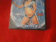 Load image into Gallery viewer, Vintage Adult Erotic Sexy Porn XXX DVD Movie She's The One         P80
