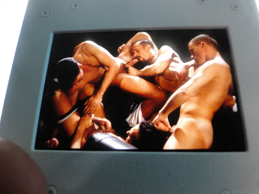 VINTAGE 35MM GAY MALE SLIDE BEEFCAKE MUSCLE NUDE FALCON STUDIOS Z19k