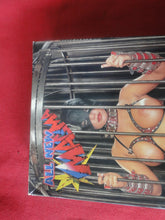 Load image into Gallery viewer, Vintage Adult XXX VHS Porn Tape Movie Lydia P. German BDSM      X32
