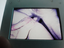 Load image into Gallery viewer, VINTAGE 35MM GAY MALE SLIDE BEEFCAKE MUSCLE NUDE FALCON STUDIOS Z20e

