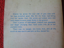 Load image into Gallery viewer, Vintage Adult Paperback Novel/Book Tied Tramp 1980 FOXING       X33
