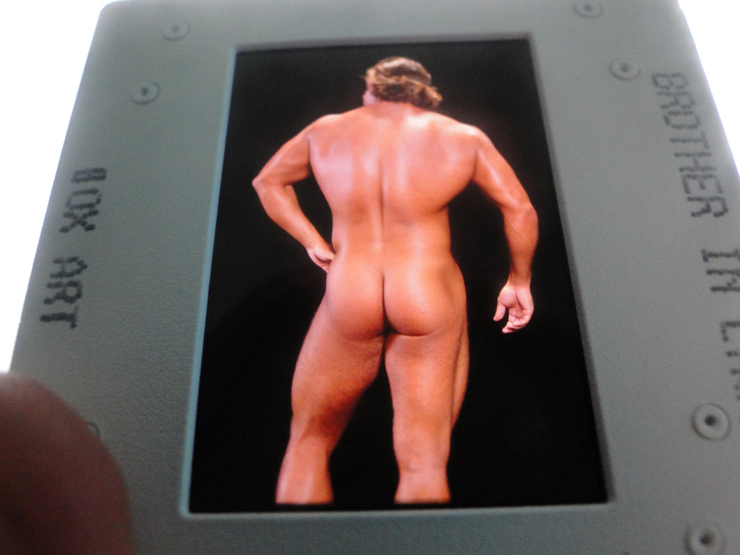 VINTAGE 35MM GAY MALE SLIDE BEEFCAKE MUSCLE NUDE FALCON STUDIOS Z23#