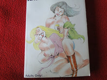 Load image into Gallery viewer, Vintage Adult Paperback Novel/Book Raging Hellcats 1986       X5
