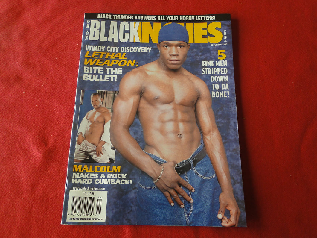 Vintage Adult Erotic Sexy Magazine Gay Interest Black Inches November 2000      G7