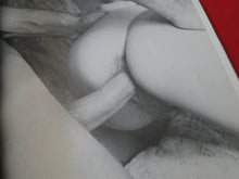 Load image into Gallery viewer, Vintage Nude Erotic Sexy Adult Magazine Fuck Mouth #1         G4
