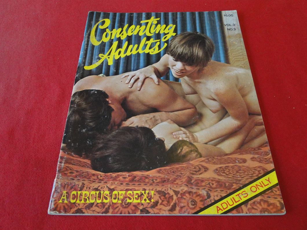 Vintage Nude Erotic Sexy Adult Magazine Consenting Adults     JB28
