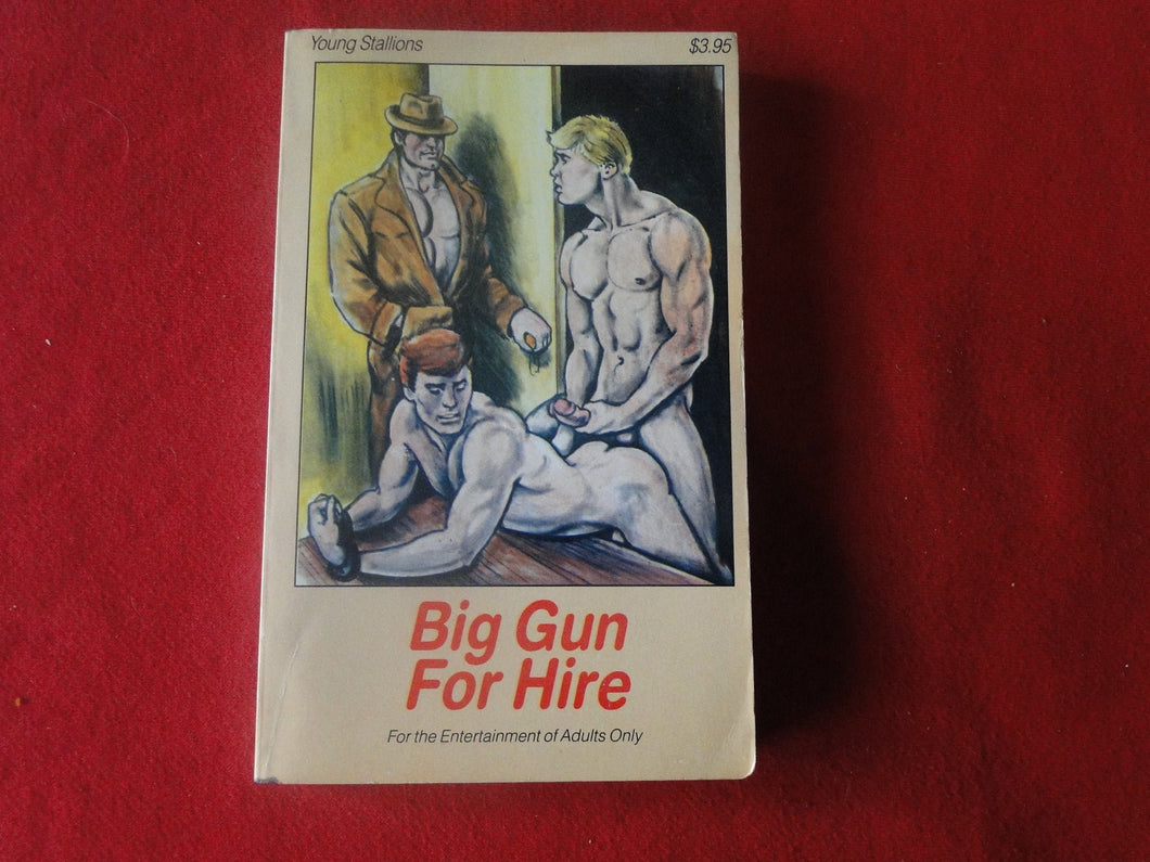Vintage Adult Paperback Novel/Book Gay Interest Big Gun For Hire           PB1
