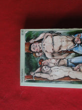 Load image into Gallery viewer, Vintage Adult Paperback Novel/Book Gay Interest Punished Punks        PB1
