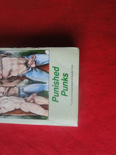 Load image into Gallery viewer, Vintage Adult Paperback Novel/Book Gay Interest Punished Punks        PB1
