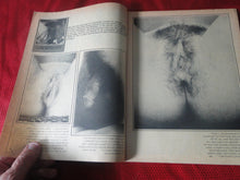Load image into Gallery viewer, Vintage Nude Erotic Sexy Adult Magazine The Best of He &amp; She Fall 1977      P3
