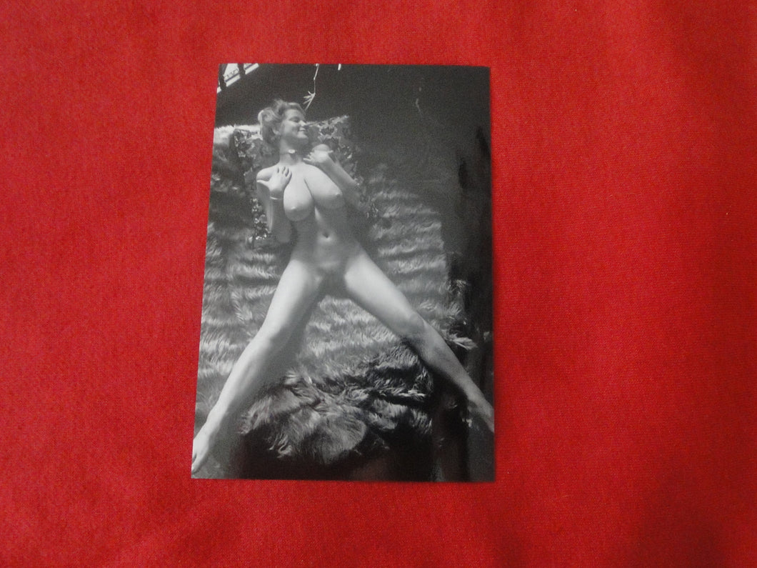 Nude Erotic Sexy Large Breasted Woman Photo Roberta Pedon  4 x 6     ADj