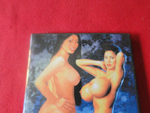 Load image into Gallery viewer, Vintage Erotic Sexy Adult DVD XXX Movie Melonman 8 Asian Melons     P8
