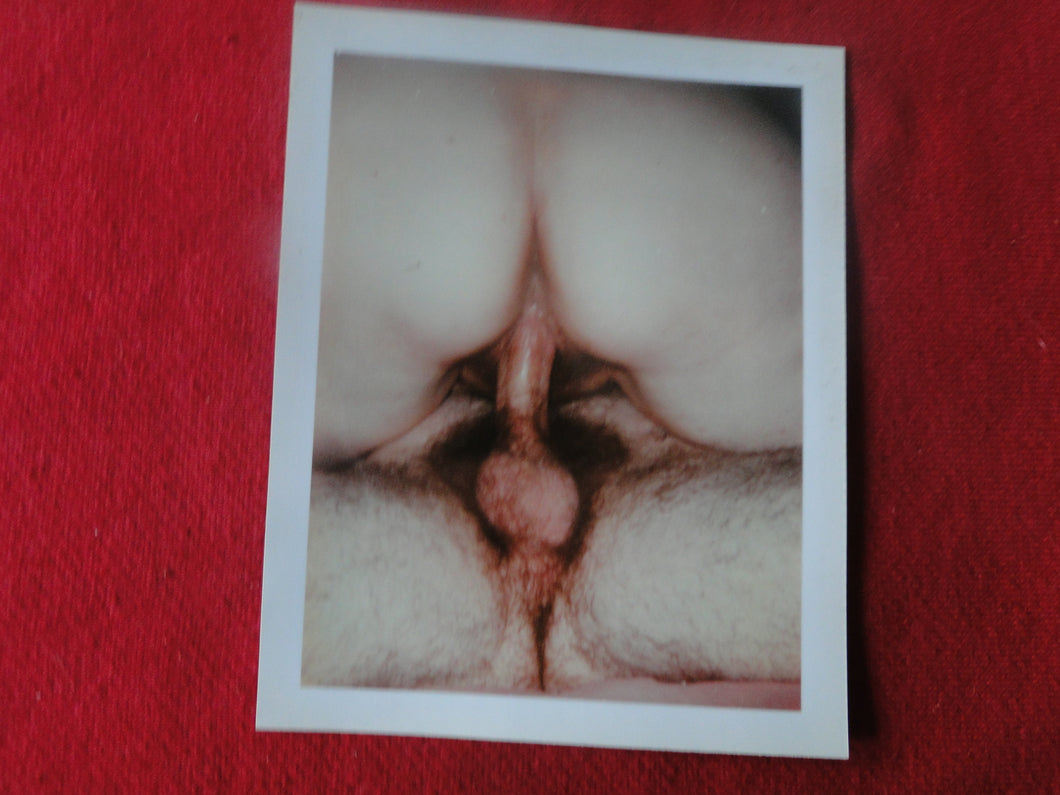 Vintage Nude Erotic Sexy Woman Polaroid Photo Chubby Slut Intercourse Hairy Pussy   AA