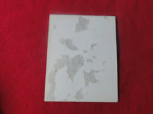 Load image into Gallery viewer, Vintage Nude Erotic Sexy Woman Polaroid Photo Mounted on Board Chubby Slut Hairy Pussy AA
