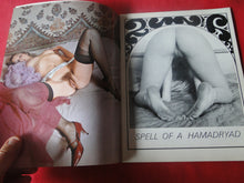 Load image into Gallery viewer, Vintage Nude Erotic Sexy Adult Magazine Lights &#39;N Shadows 1969     P84
