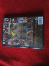 Load image into Gallery viewer, Vintage Adult Gay Porn DVD XXX Movie SEALED Great Dane Gold        FF
