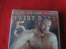 Load image into Gallery viewer, Vintage Adult Gay Porn DVD XXX Movie SEALED Hairy Boyz 5            FF
