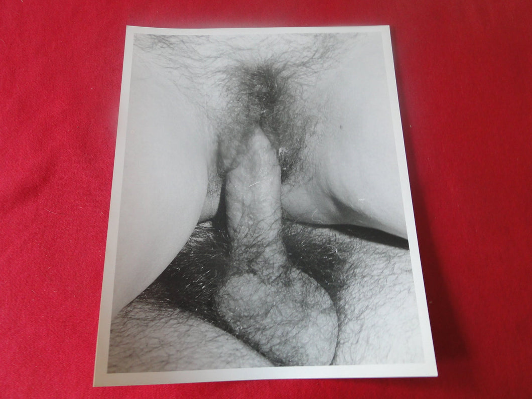 Vintage Nude Woman Erotic Adult Photo 8 x 10 Housewife Slut Hairy Pussy     E4