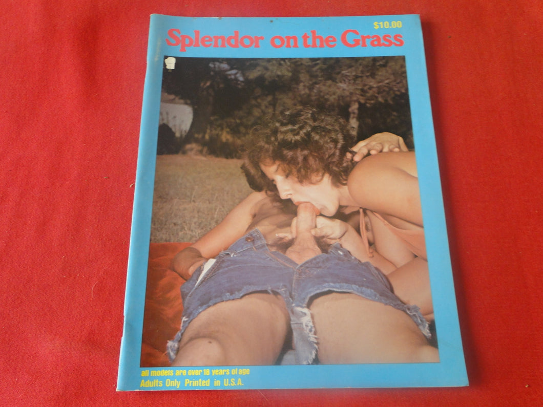 Vintage Nude Erotic Sexy Adult Magazine Splendor On The Grass       JB27