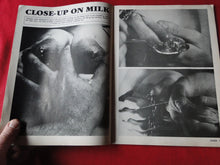 Load image into Gallery viewer, Vintage Nude Erotic Sexy Adult Magazine Juggs August 1988          P84
