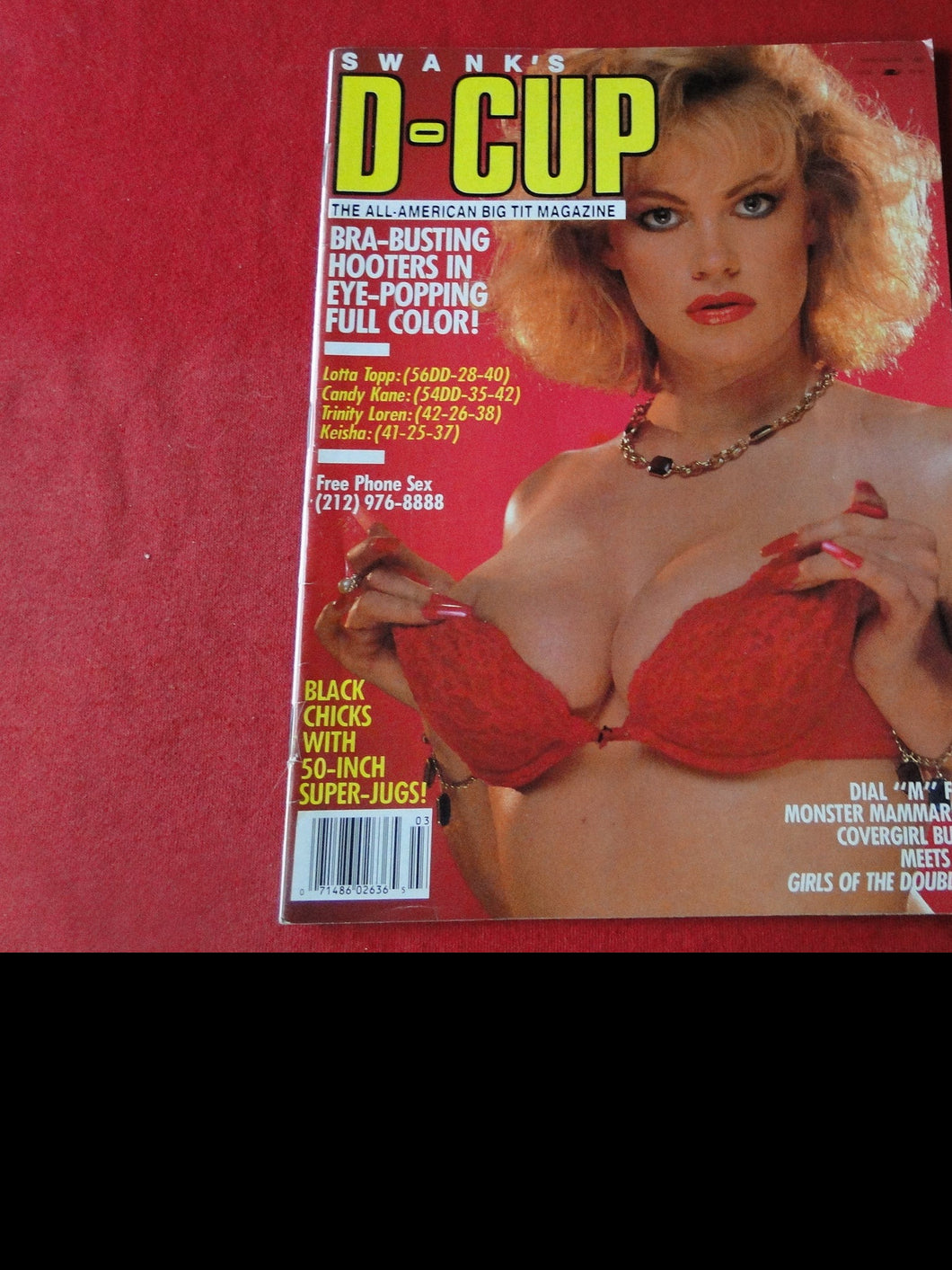 Vintage Nude Erotic Sexy Adult Magazine D-Cup          P84