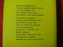 Load image into Gallery viewer, Vintage Adult Paperback Novel/Book Sinful Desires           X11
