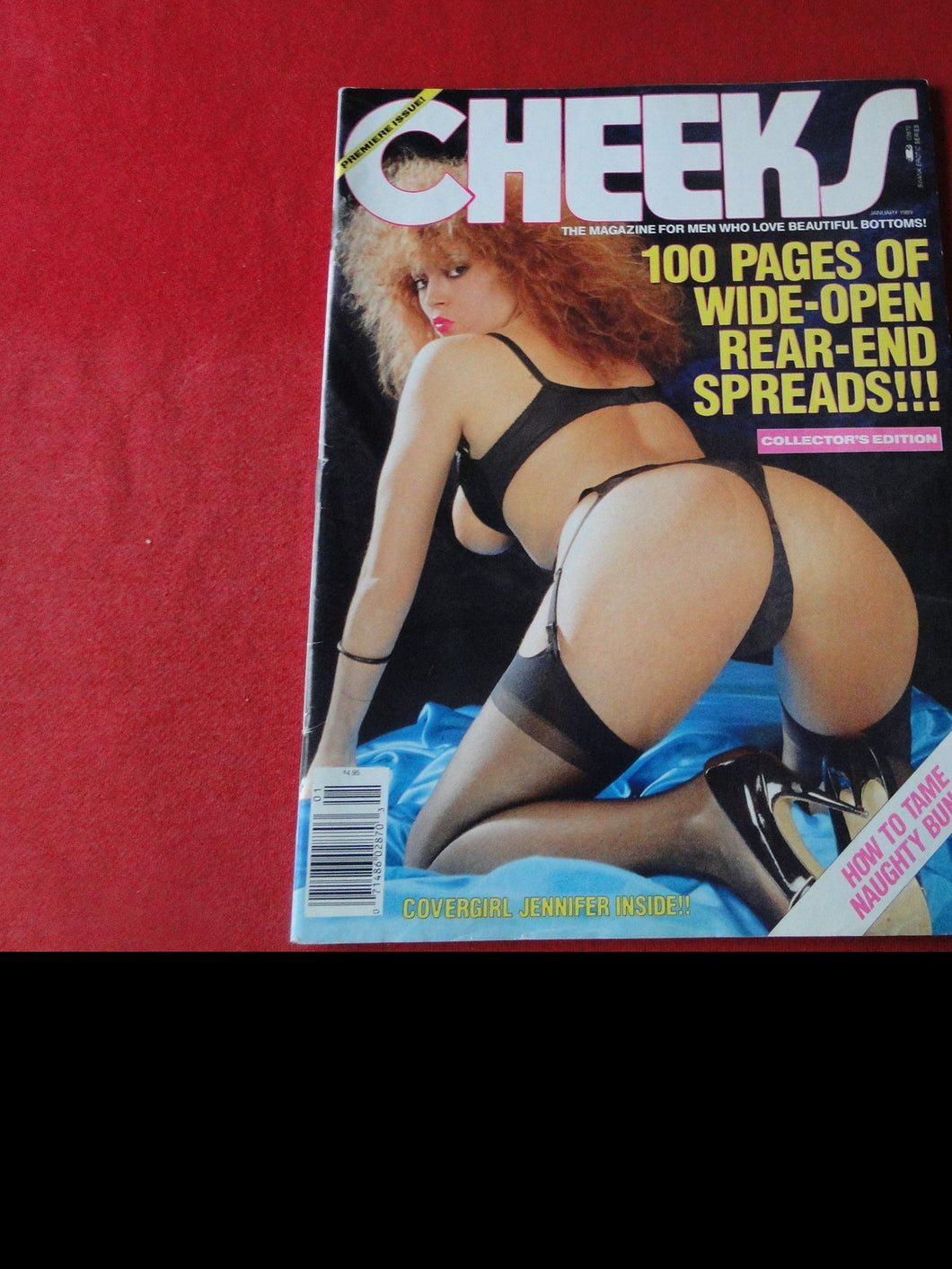 Vintage Nude Erotic Sexy Adult Magazine Cheeks January 1989        P84