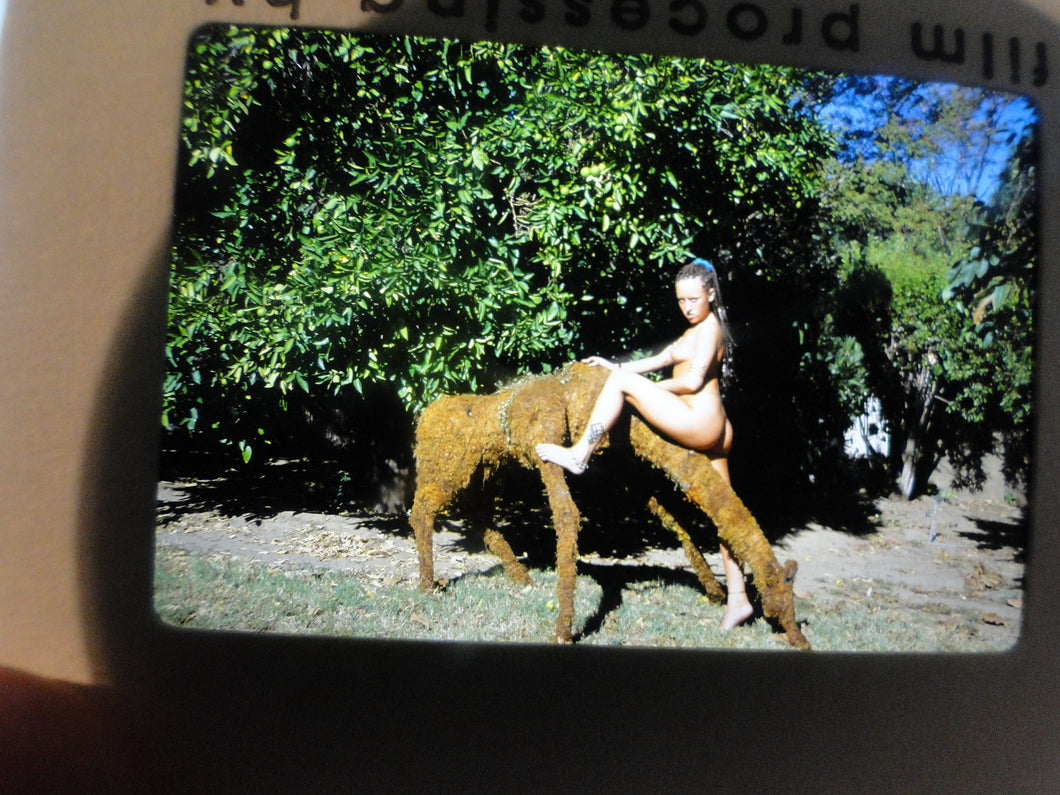 Vintage NUDE Woman Model Nice Ass 35mm Slide/Transparency   Z26w