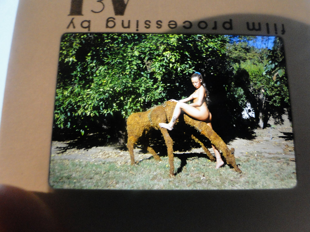 Vintage NUDE Woman Model Nice Ass 35mm Slide/Transparency   Z26x