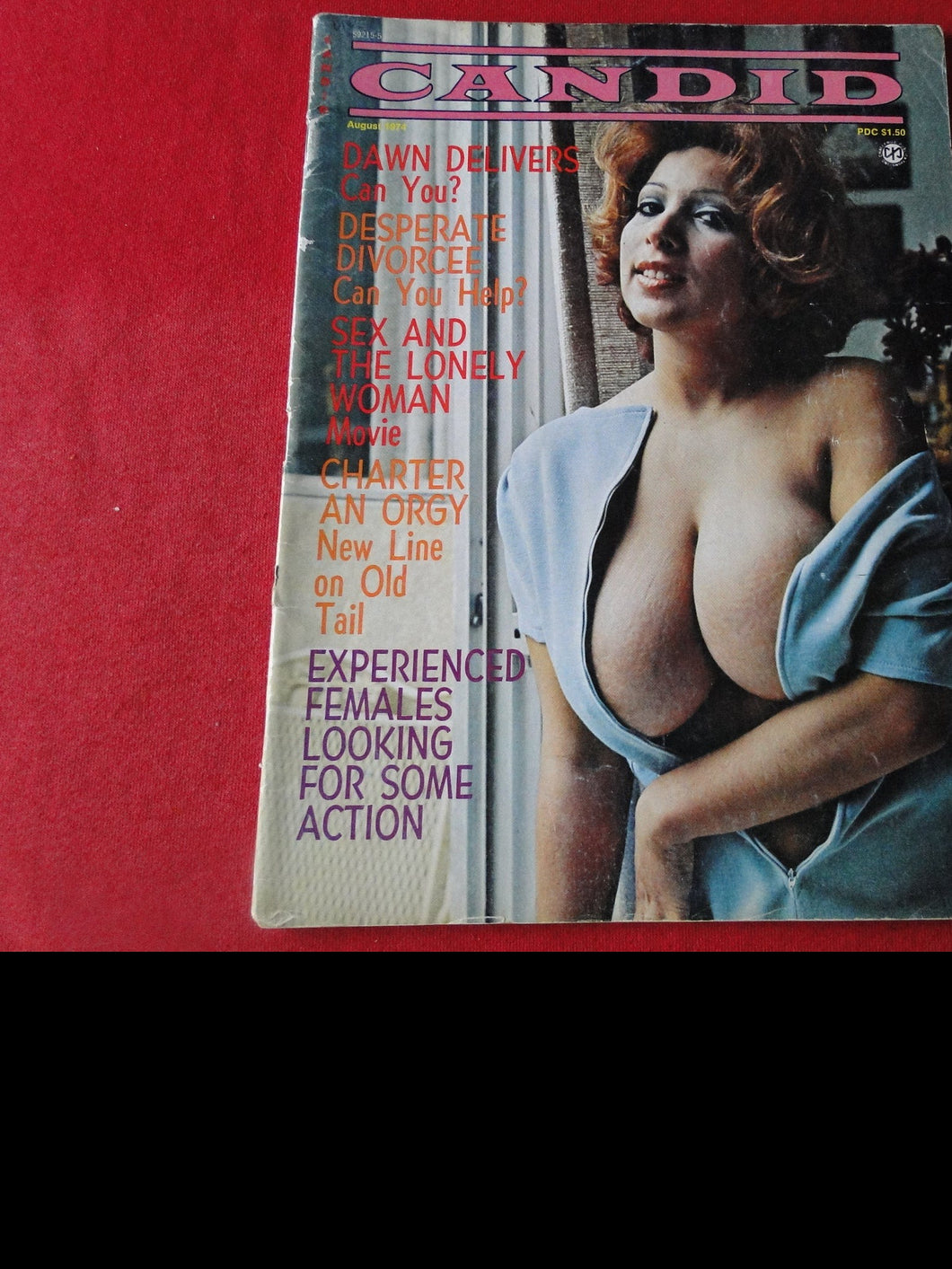 Vintage Nude Erotic Sexy Adult Magazine Candid August 1974           JB16