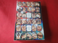 Load image into Gallery viewer, Vintage Adult XXX VHS Porn Tape Adult Video Movie Euro Angels 2      DB
