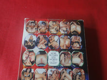 Load image into Gallery viewer, Vintage Adult XXX VHS Porn Tape Adult Video Movie Euro Angels 2      DB
