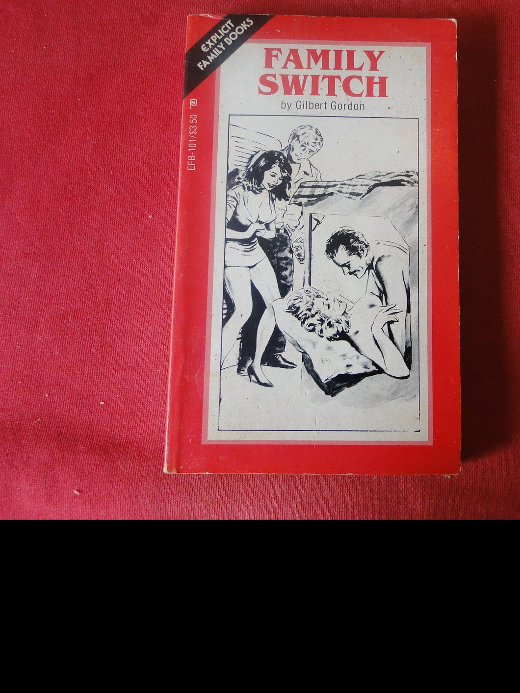 Vintage Adult Paperback Novel/Book Family Switch     PB5